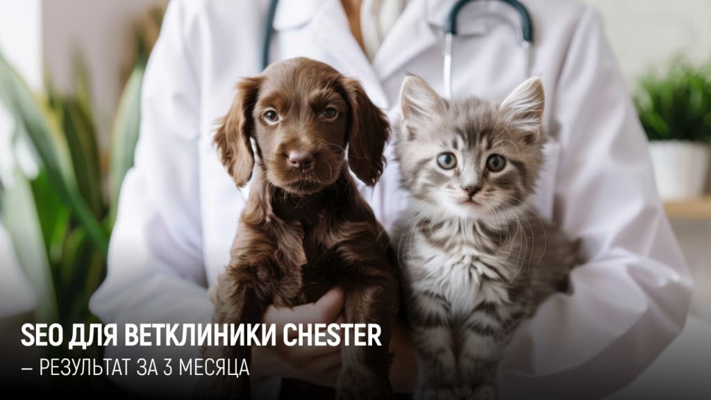 Ветклиника: трафик в 2,5 раза